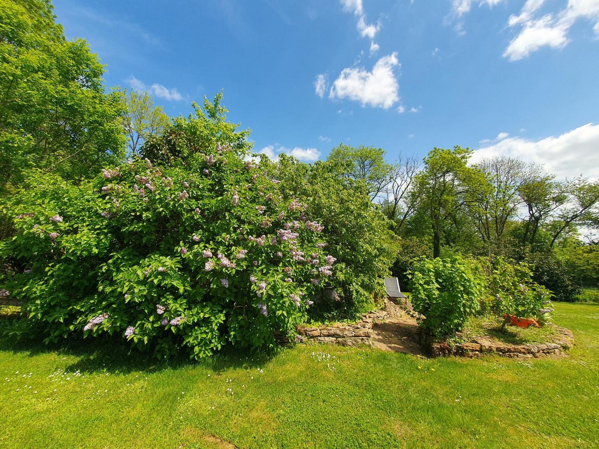 Bed and Breakfast Jardin Des Sens, La Rente D'Eguilly Zewnętrze zdjęcie
